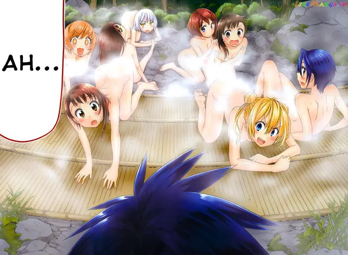 Nisekoi Chapter 105.5 image 15_optimized